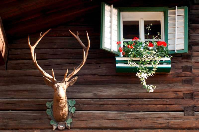 Hotel Gasthof Markterwirt Altenmarkt im Pongau Bagian luar foto